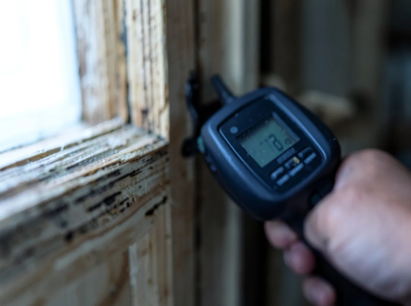 Commercial Water Damage Restoration in Bienville, LA